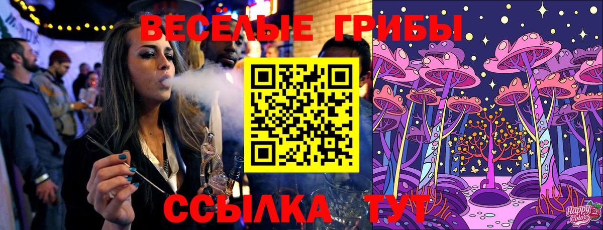 закладка  Галлюциногенные грибы MAGIC MUSHROOMS  Вход с VPN  Домодедово 