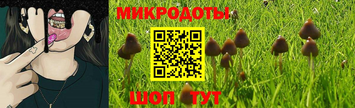 Псилоцибиновые грибы Psilocybine cubensis Домодедово